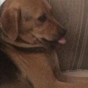 Meet your Posher, Cheryl